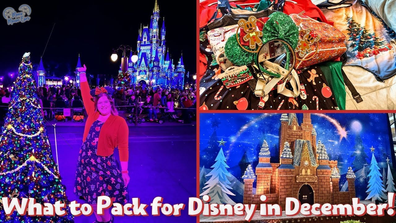 Что взять с собой в Disney World в декабре | Советы по сбору вещей для зимнего отпуска в Disney