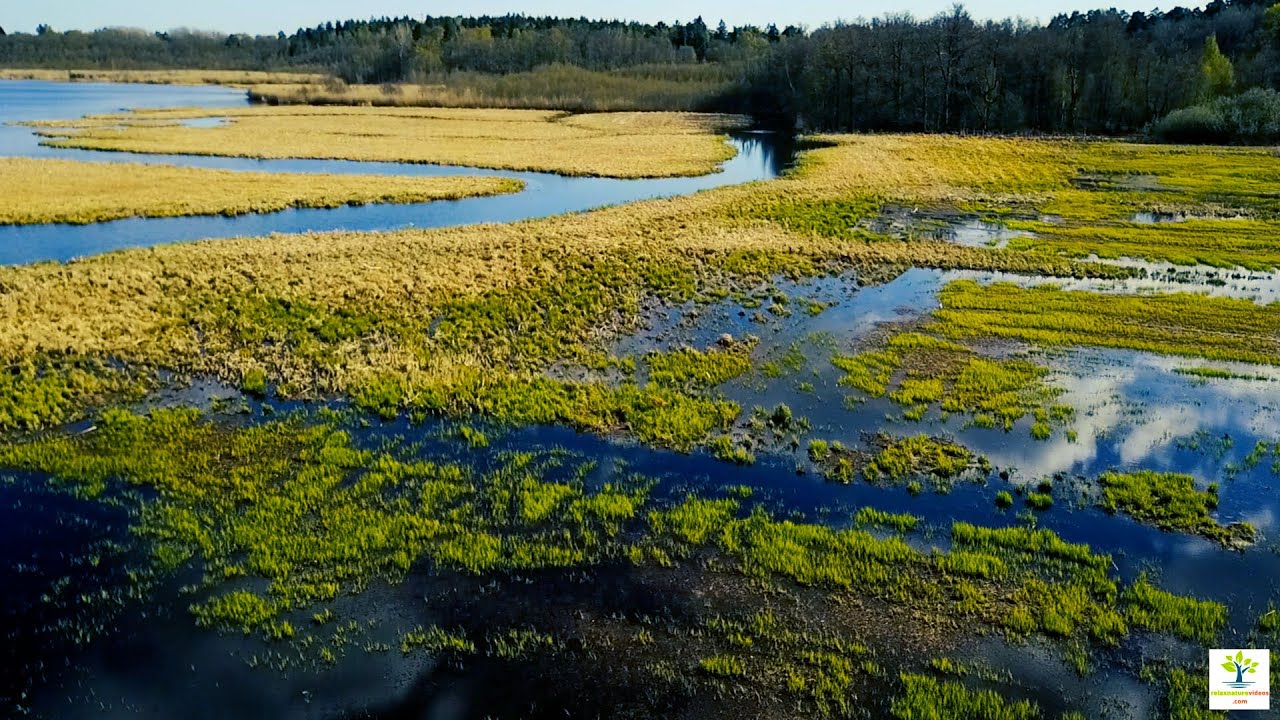 relax nature music video - Relaxation Film - 2022