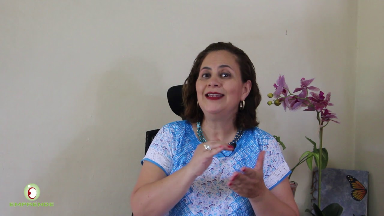 Requisitos para elaborar una Manifestación de Impacto Ambiental.