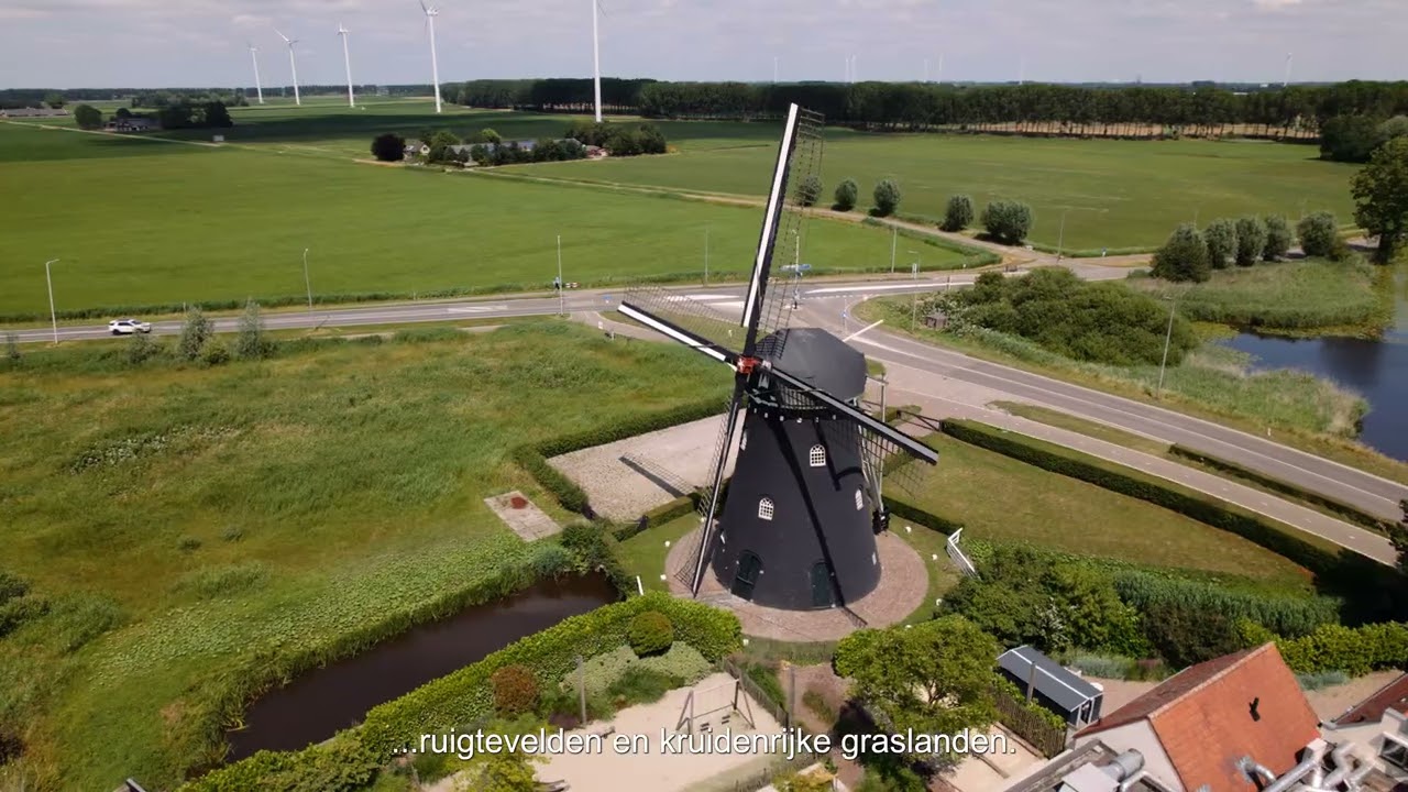 Natuurontwikkeling project Noordrand Midden - update 2025