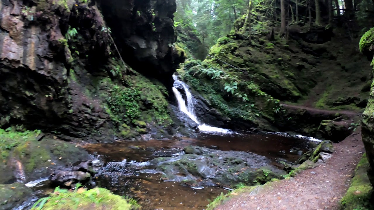 Forest Walk Relaxing, Skyrim OST, Scotland