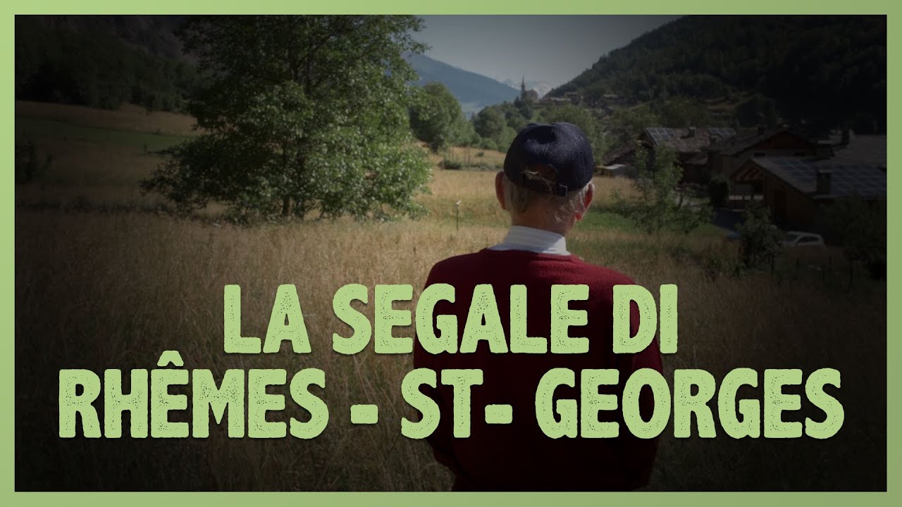 La segale di Rhêmes-Saint-Georges