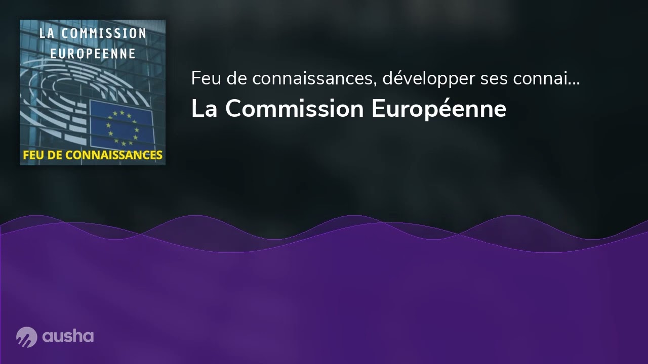 La Commission Européenne