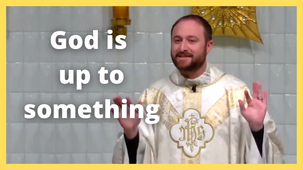 Christmas Catholic Mass Homily / Father Scott Bailey