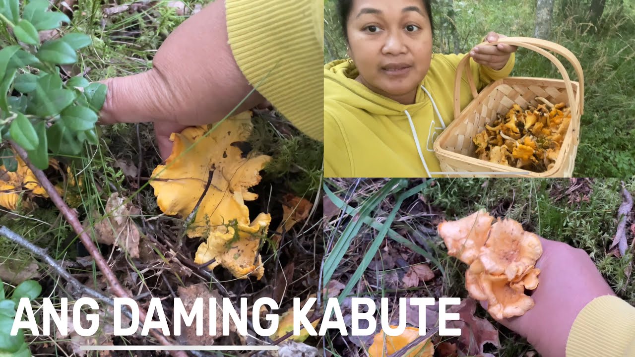 CHANTARELLES ANG DAMI 😵😵 | THE LINDEMANS