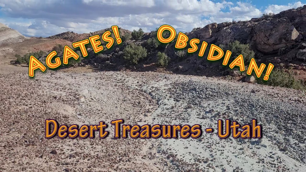 Desert Treasures