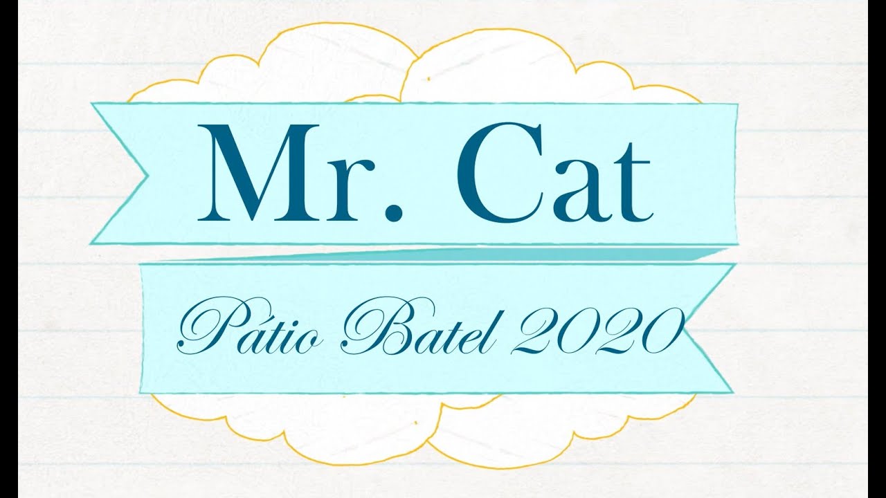 Um passo a cada dia com Mr. Cat Curitiba