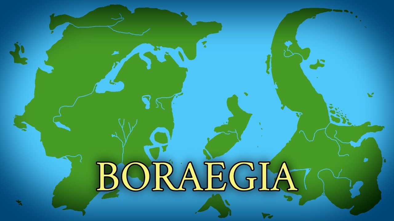 History Of Boraegia: Every Year