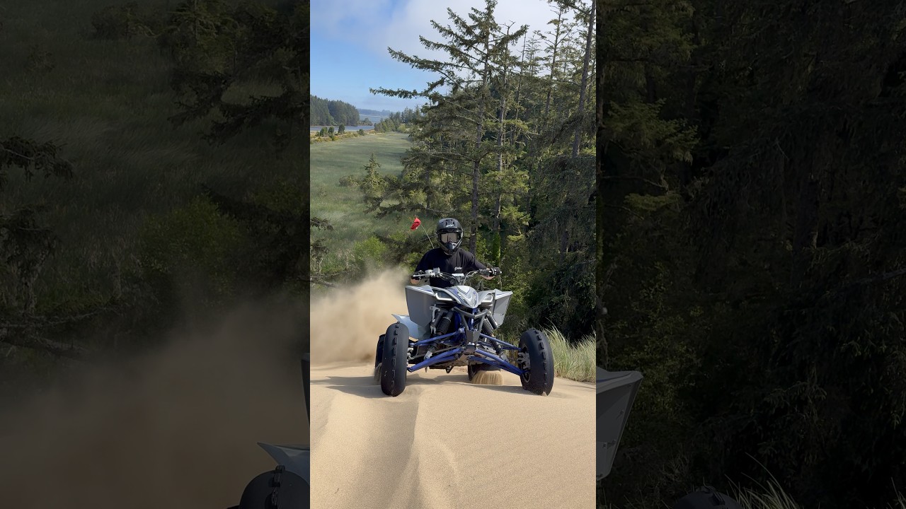 Need a 2 stroke