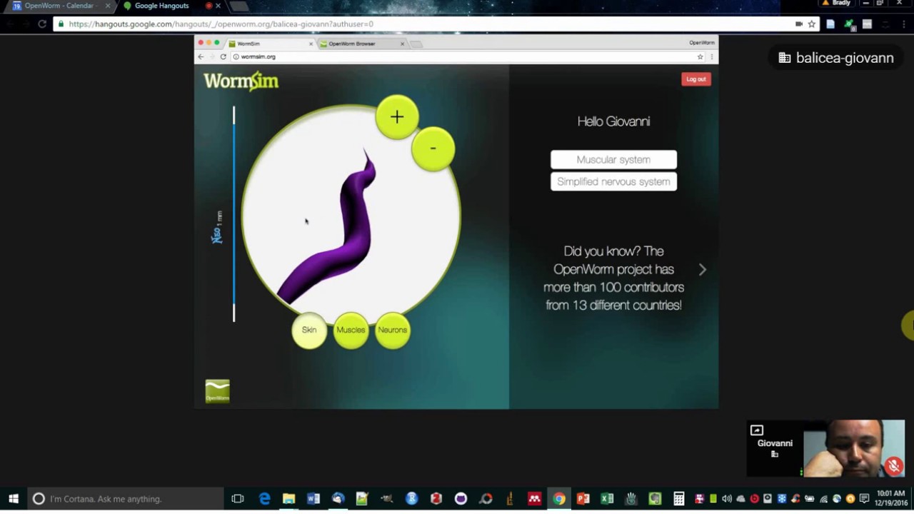OpenWorm Open House WormSim flash talk