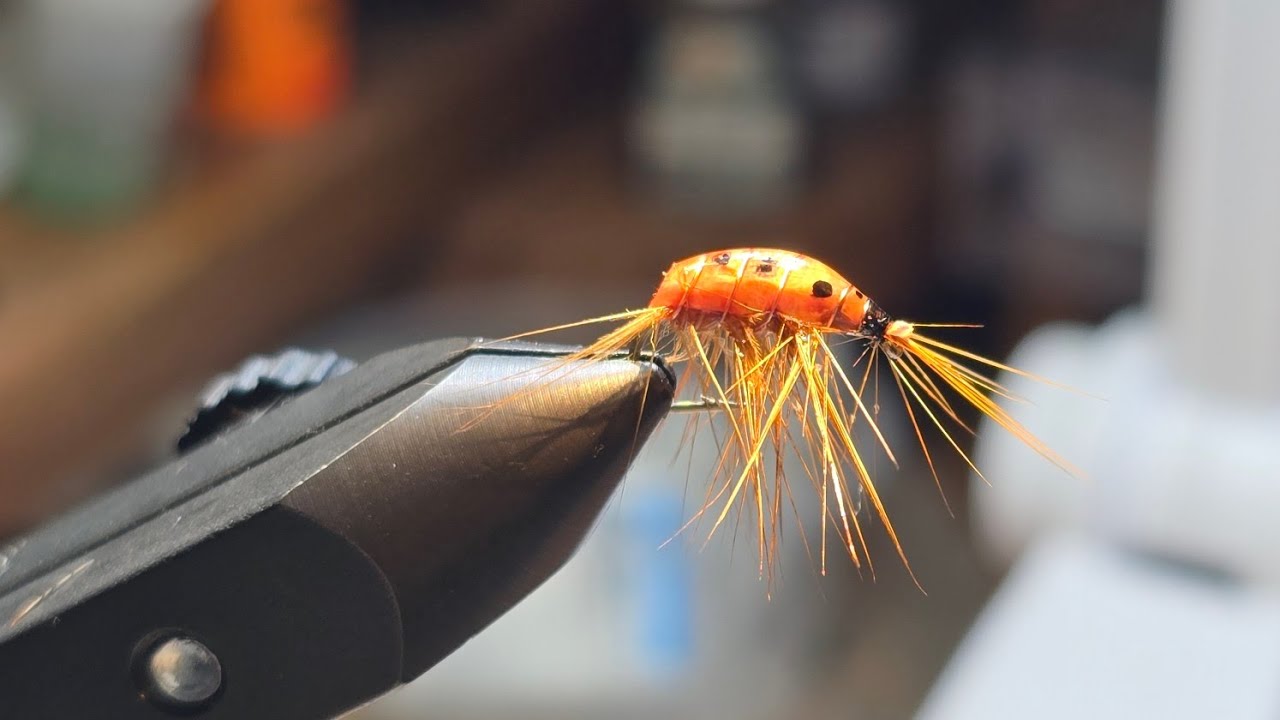 Montage d'un Gammare en cou de coq