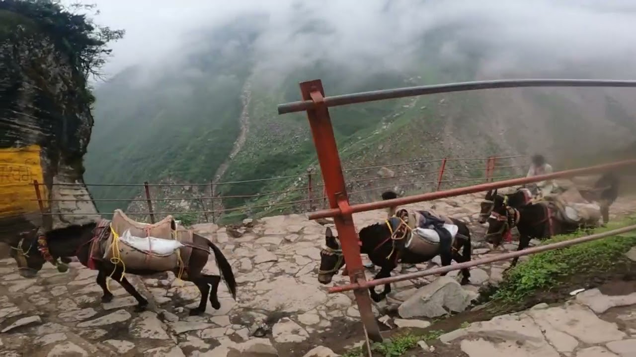 Day 6 gaurikund to Kedar आज घोड़े सीमेंट लेकर गई
