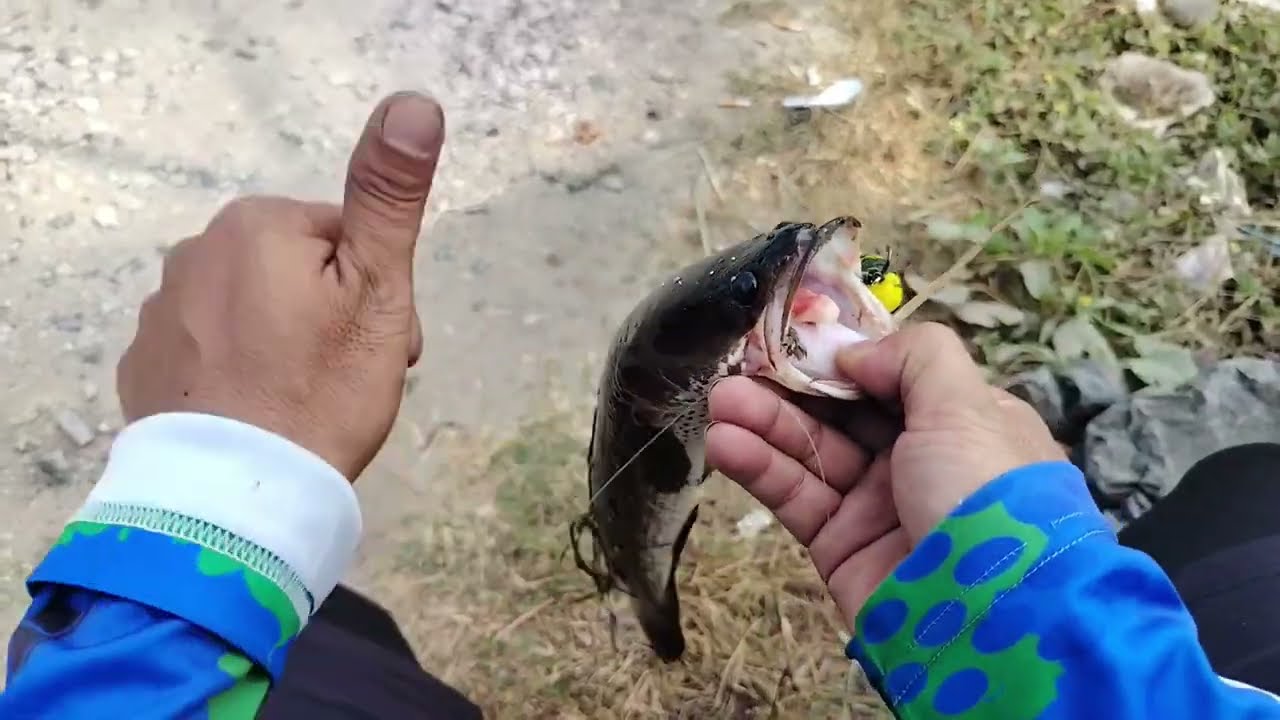Hunter​ Frog_G​ Ep​ 4 ​ปลาช่อนข้างทาง​ 