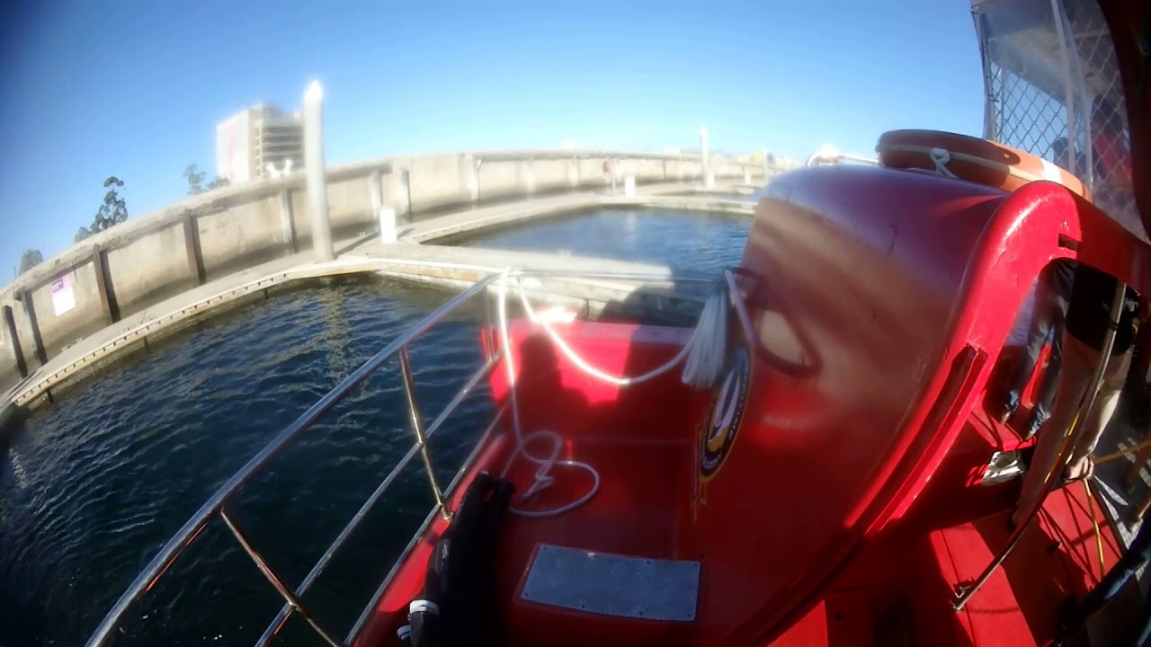 AMFA Coxswain Boat Practicals 2019