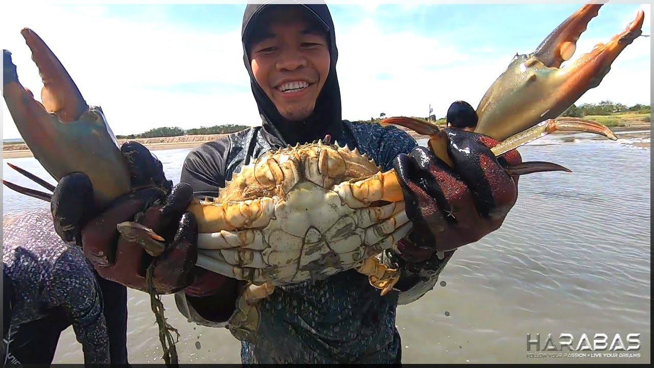 EP481-Part 1 - Pandudukot ng Alimango | Occ. Mindoro