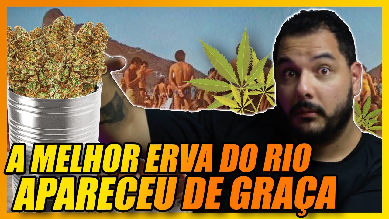 A HIST&Oacute;RIA DO VER&Atilde;O DA LATA: A MELHOR MACONHA DO RIO DE JANEIRO #historia #riodejaneiro