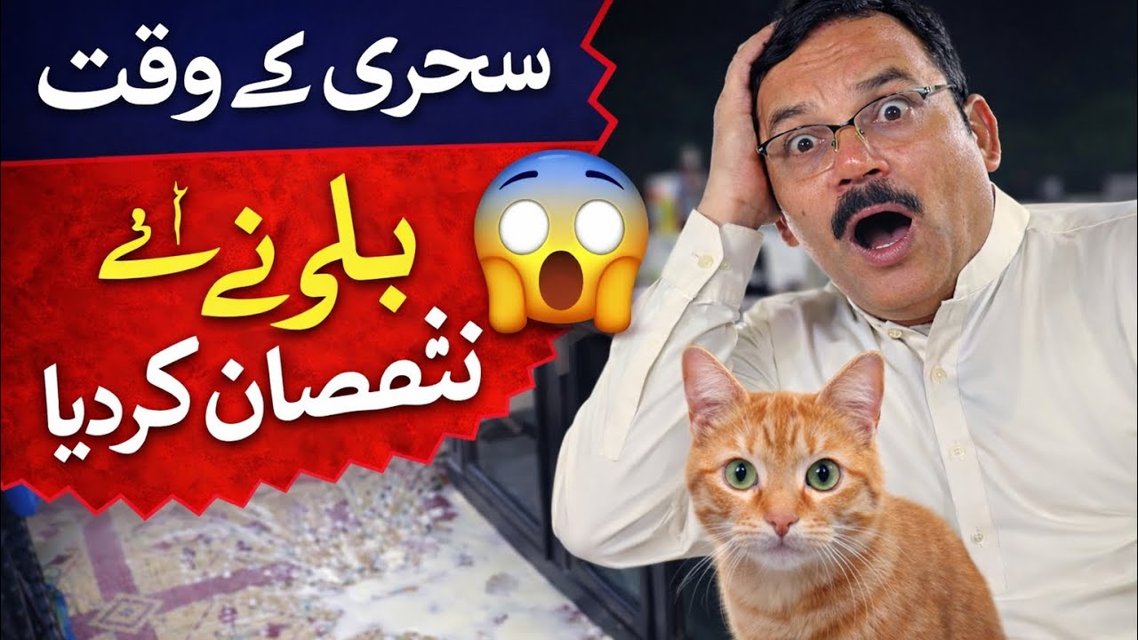 Cate Ka Barha Karnama. Sehri Se Pehle Sara Dahi Gira Dia Phir Meiny Kea Kia. Scooter Bhai 