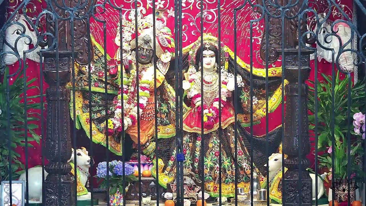 Morning Darshan
