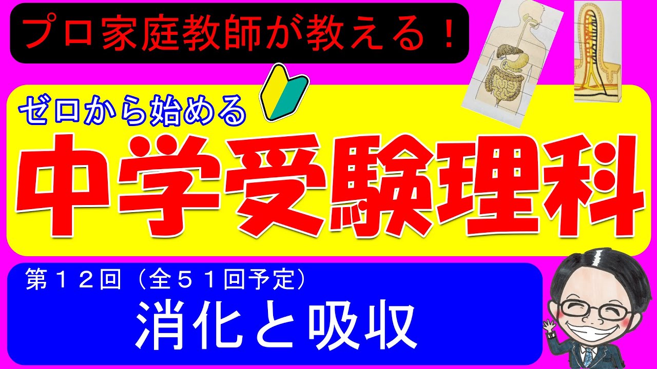 【中学受験理科】消化と吸収！人体の不思議をサクっと解説！【ゼロから始める中学受験理科 第１２回】