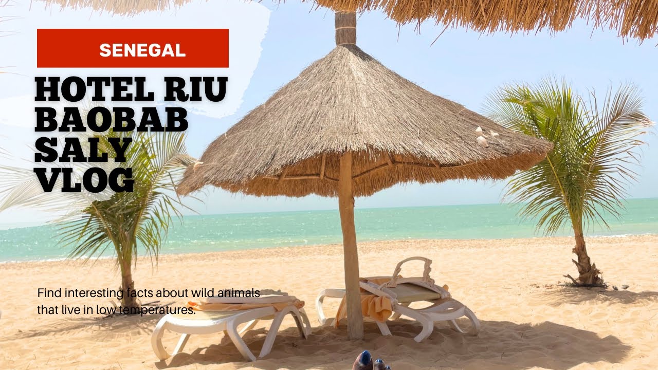 HOTEL RIU BAOBAB TOUR AND SALY SENEGAL VLOG