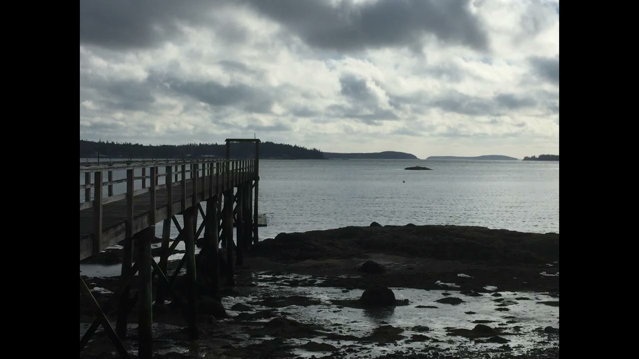 9 Hours of Calming Coastal Maine. Ocean Waves Distant Seagulls. No-Ads for Deep Sleep.