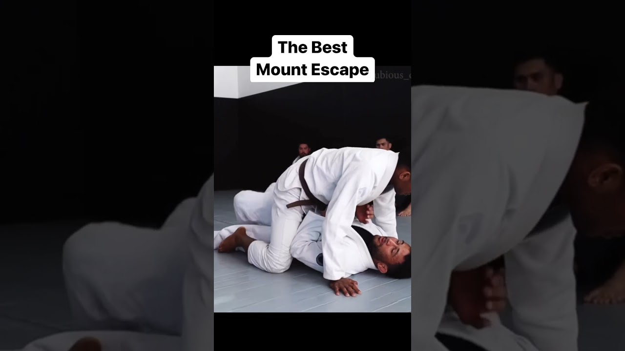 The best mount escape #bjj #jiujitsu #brazilianjiujitsu
