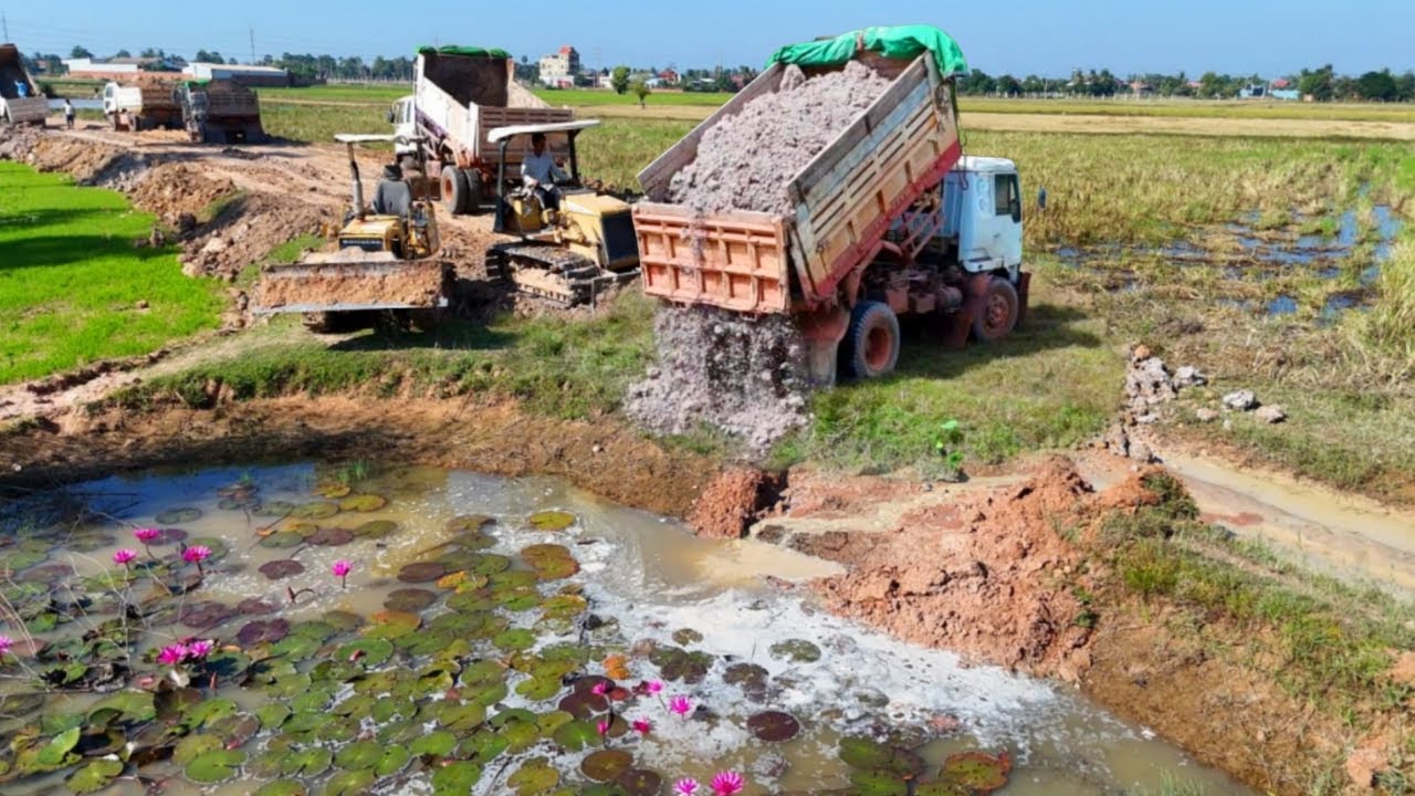 Nice Action Building New Road!! Processing Working by Mini Bulldozer D20P & 5-T Dump Truck Unloading