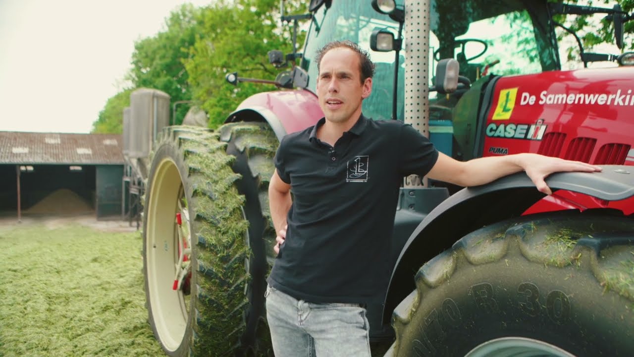 FIELD STAR WEIDEMENGSELS; KWALITATIEF, PRODUCTIEF EN STANDVASTIG GRAS