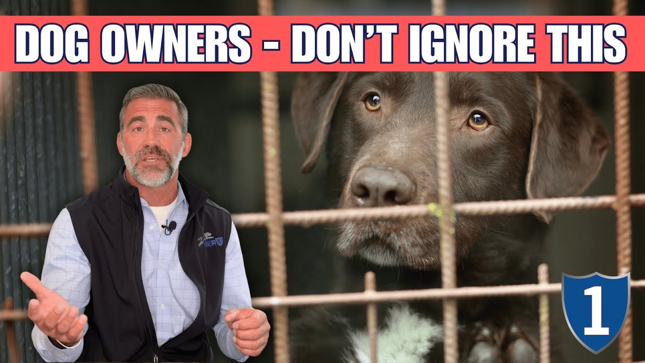Kennel Cough Explained: Symptoms, Treatment, and Prevention