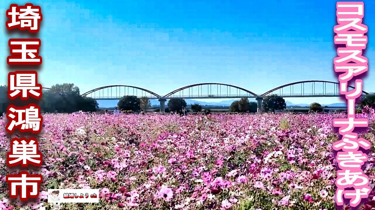 【コスモスアリーナ】【鴻巣市】コスモスアリーナふきあげ（埼玉県鴻巣市）