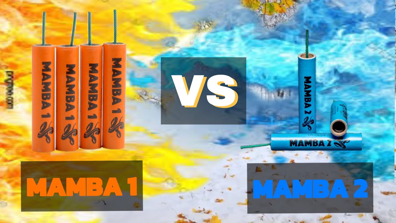 MAMBA 1 VS MAMBA 2 🧨🧨