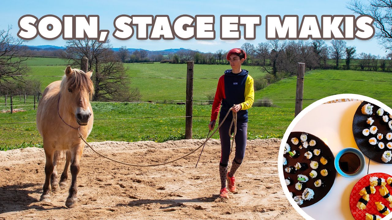 Point sur Linda, soins, stage et on cuisine ensemble ! 🐎🍣  [Vlog Poney]