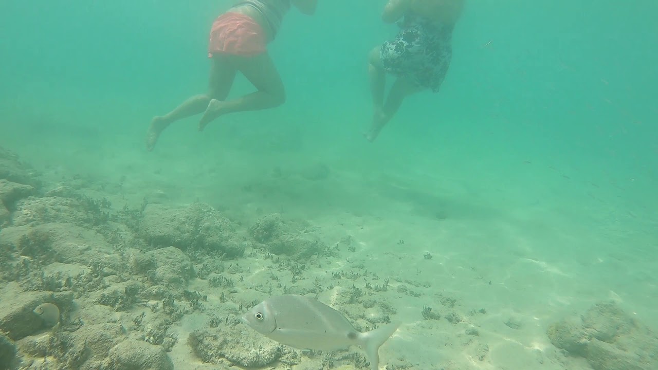 Snorkel Beach Park Bermuda