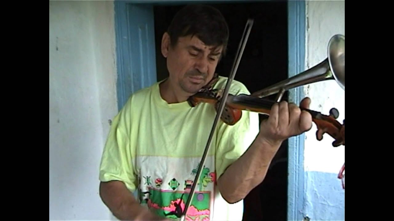 CLUJ, Instrumentisti bihoreni XXVIII, Lazăr Leontin, Iteu, BH, 2005