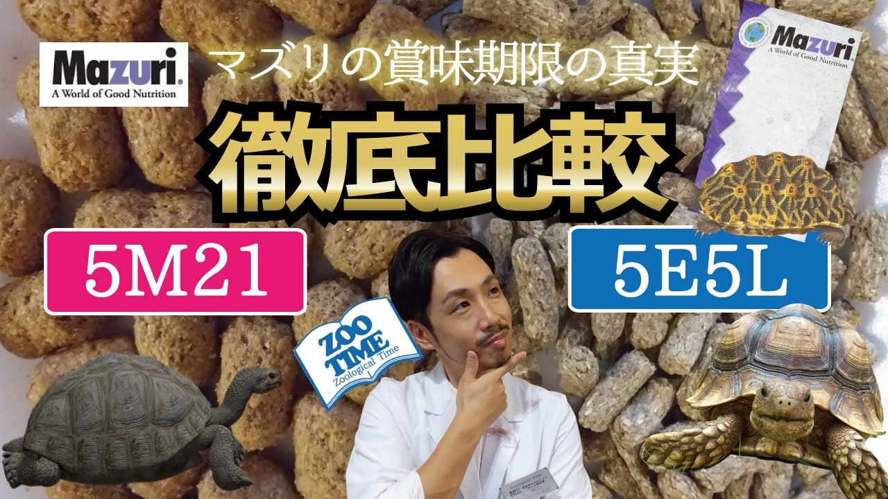 ★【マズリトータスダイエット5M21 VS 5E5L】リクガメ用ペレット徹底比較（原材料、栄養分析データ、嗜好性）
