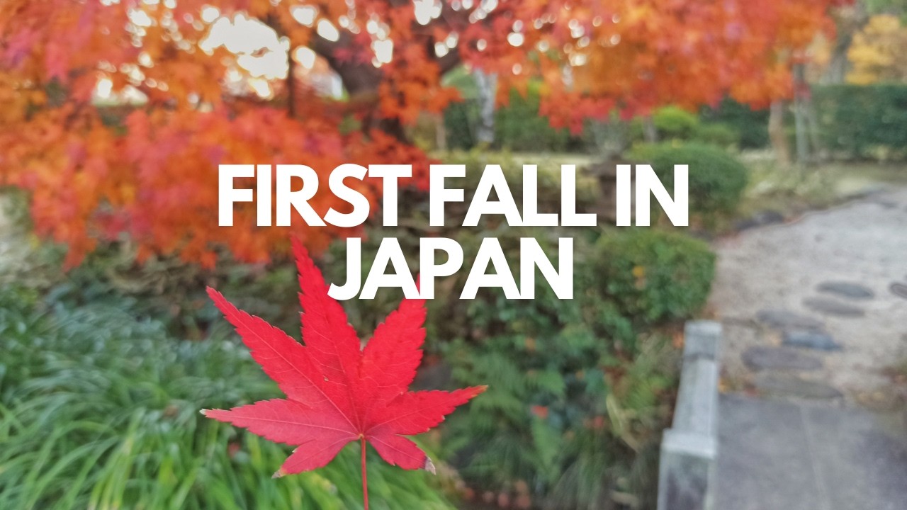Moving to Japan: My First Fall | Adopting Cats | Japan Vlog