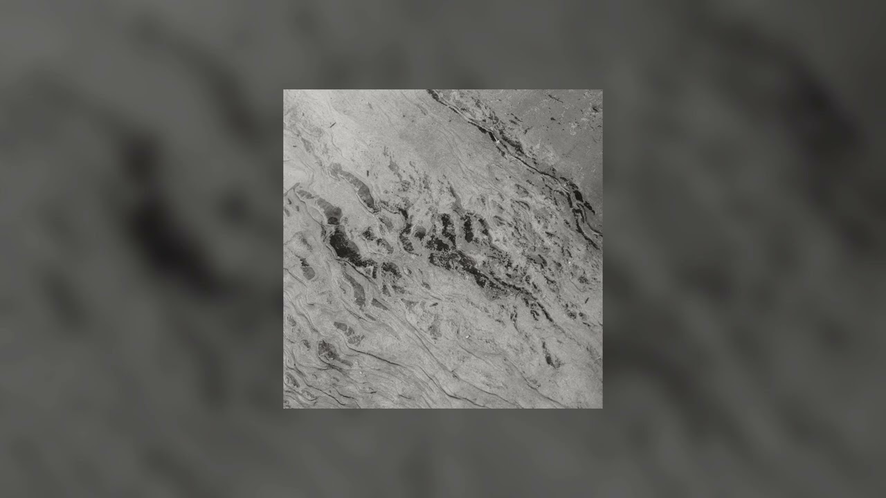 Pat Carroll — Purslane