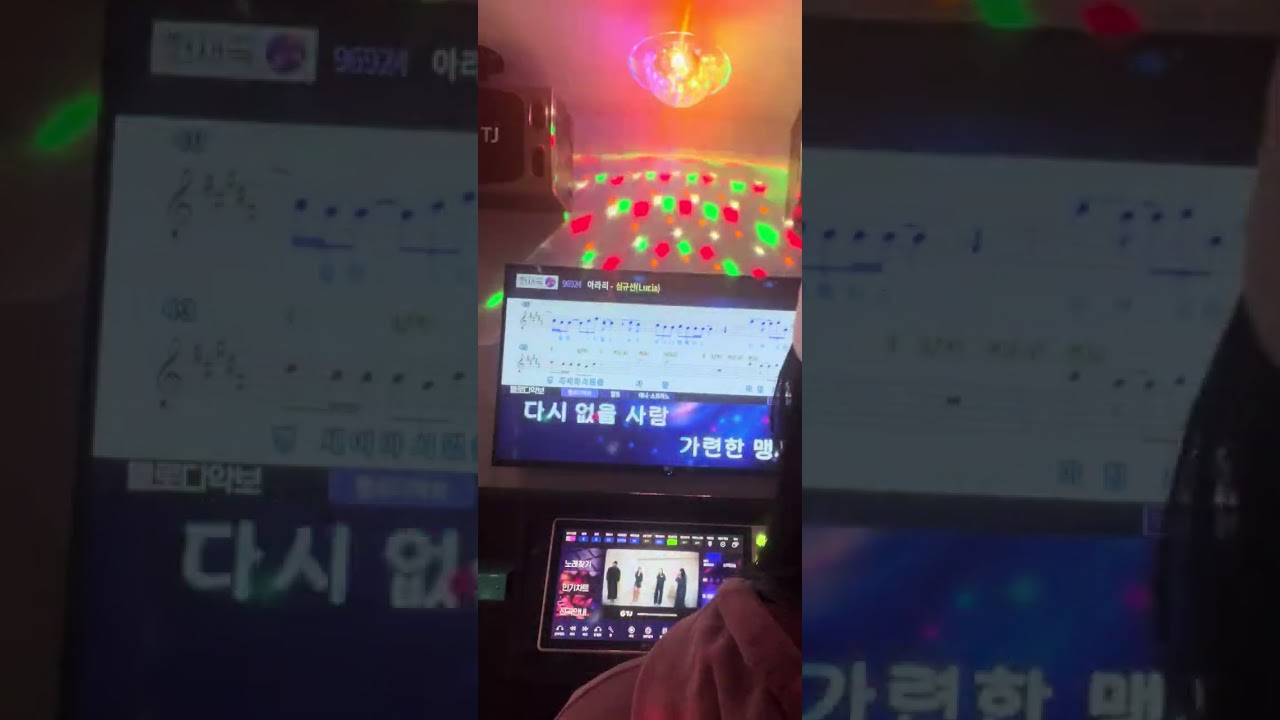 심규선 아라리 커버 #심규선 #아라리 #노래방 #코노 #코노라이브 #일반인노래커버 #여자발라드 #띵곡 #사극풍노래 #화조도 #인연 #cover #노래커버 #루시아 #발라드 #부디 