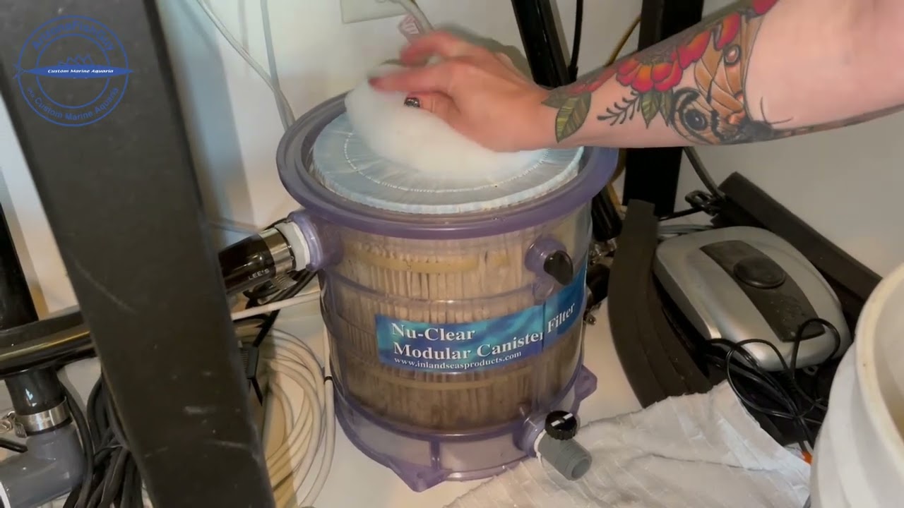 NuClear Filter Change