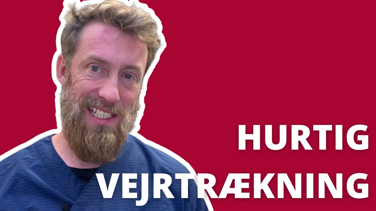 Hurtig vejrtrækning hos hunde: 5 årsager du skal kende