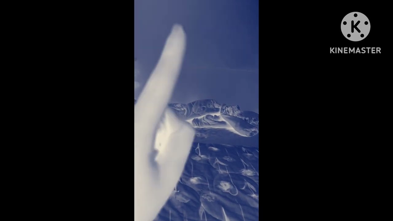 Hamad effects 2