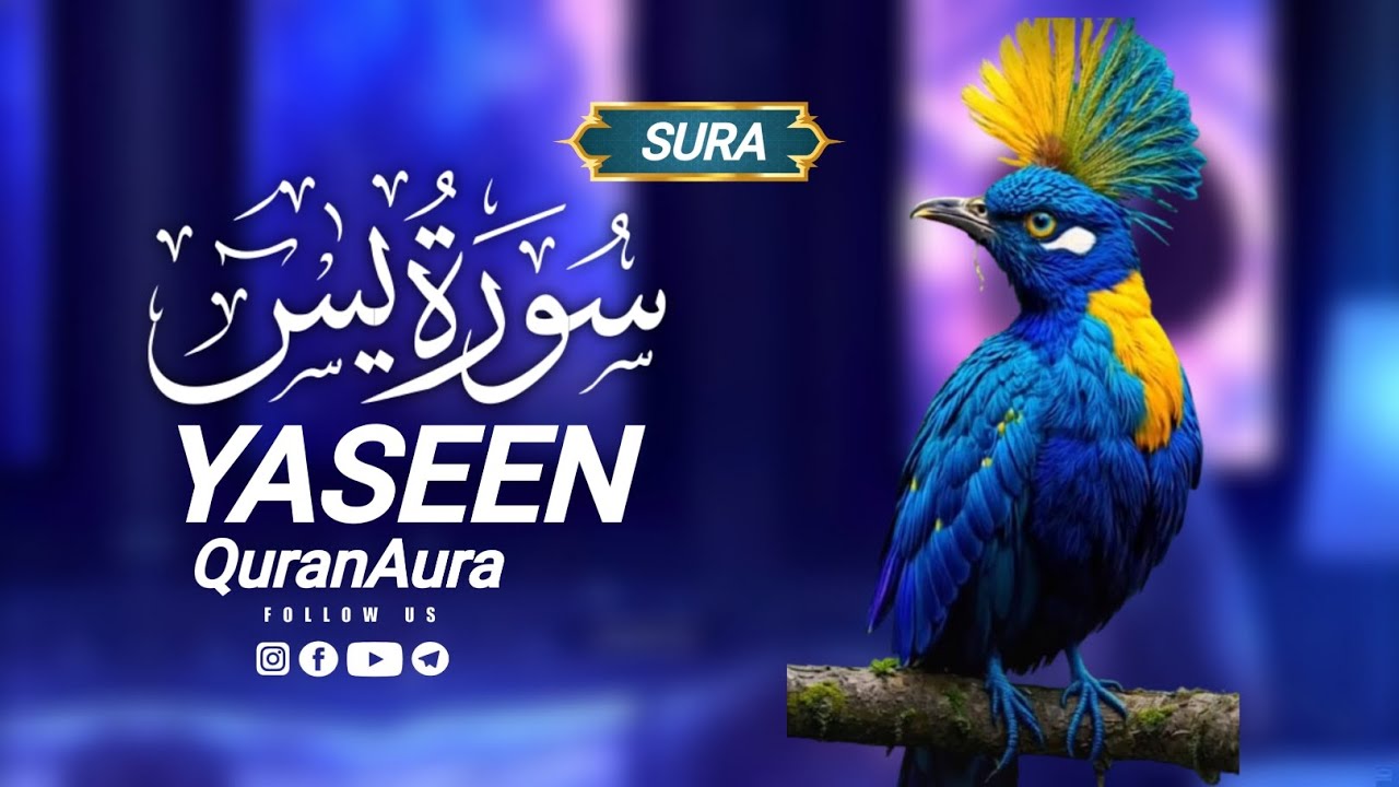 Surah Yaseen with Beautiful Voice | Hope, Peace & Forgiveness | by Abdul ULLAH Ahmad shoban 