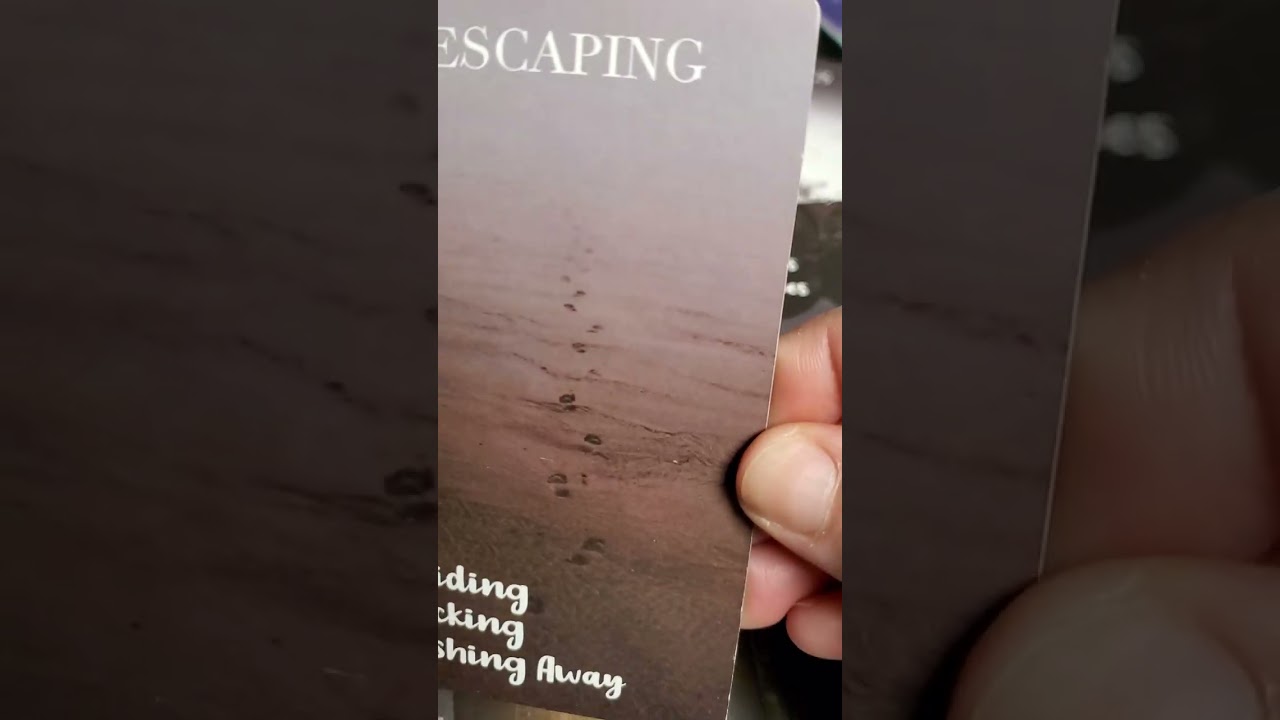 They want 2 at least be friends if u don't want a relationship again!💞 