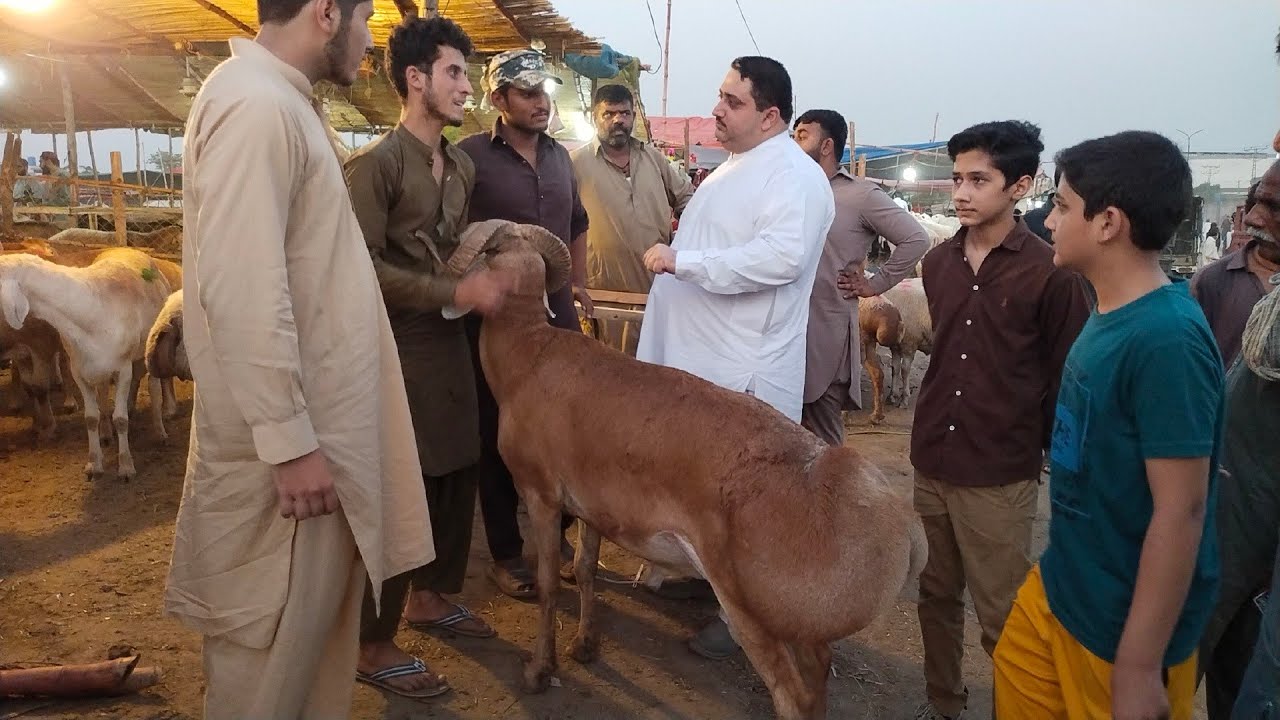 live Soda | Dosto ki Farmaish Par | Qurbani 2022 | Bakra Eid