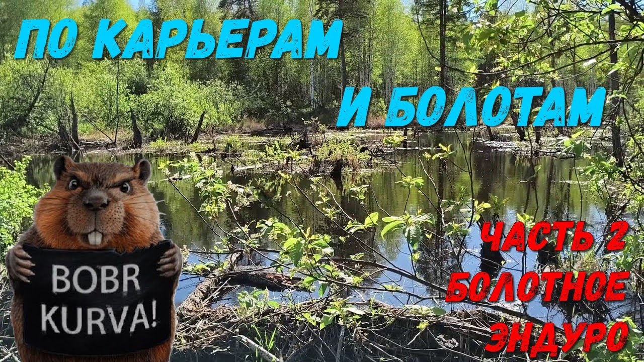 По карьерам и болотам. Часть 2. Болотное эндуро