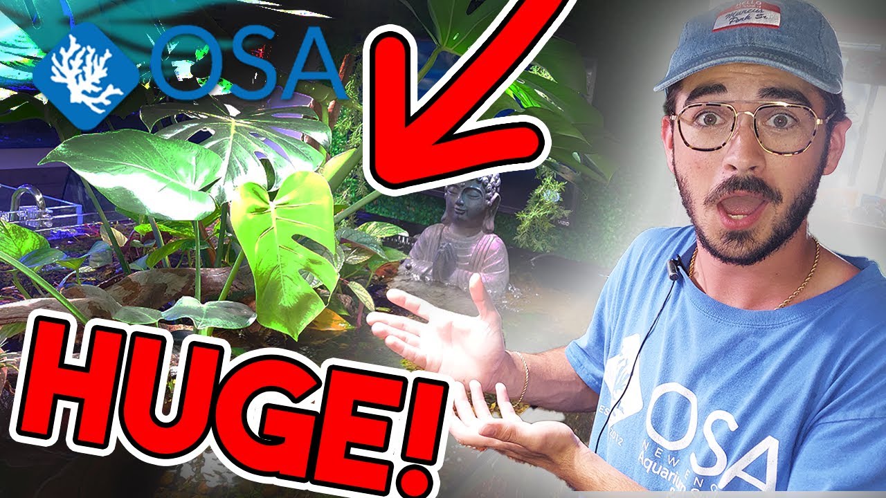 MASSIVE Marginal Plants!