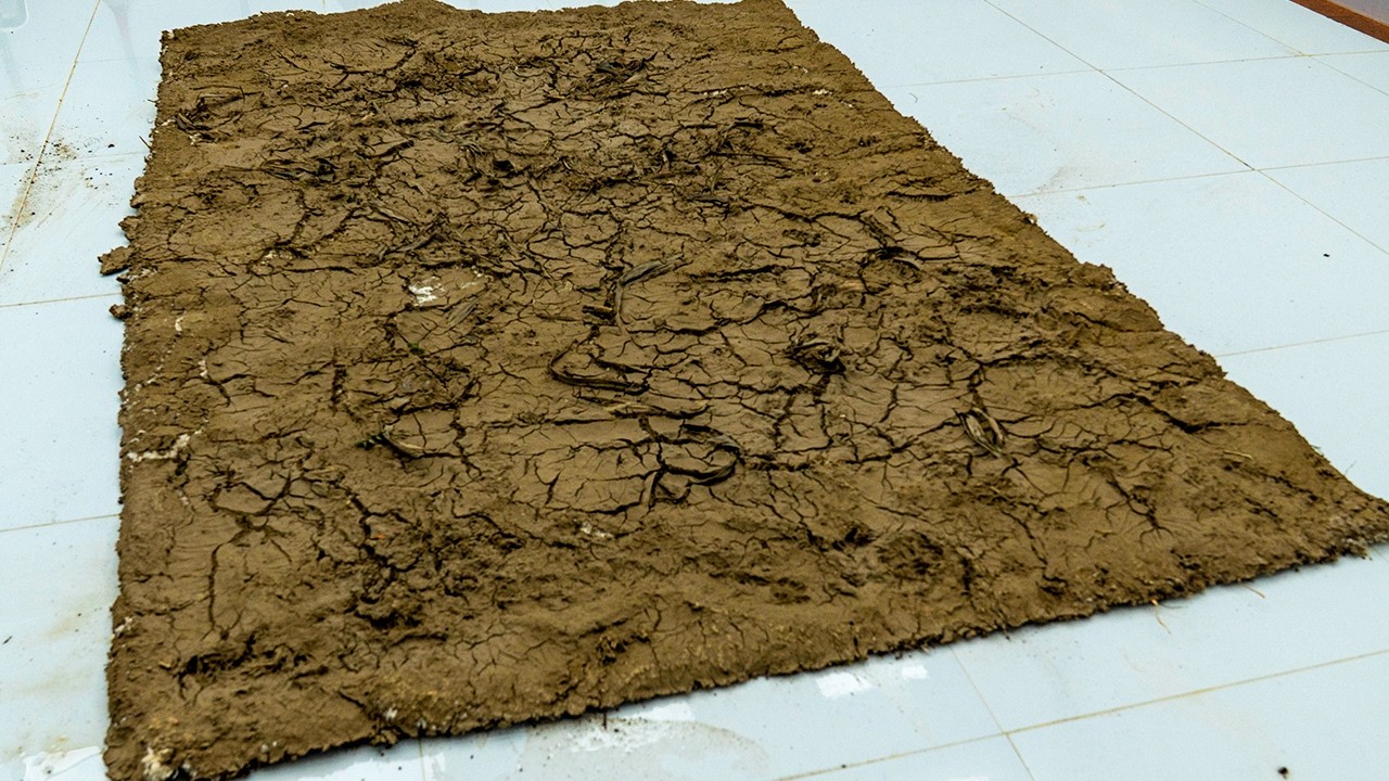 The Ultimate Mud Crunch! | Extremely Satisfying Rug Restoration ASMR