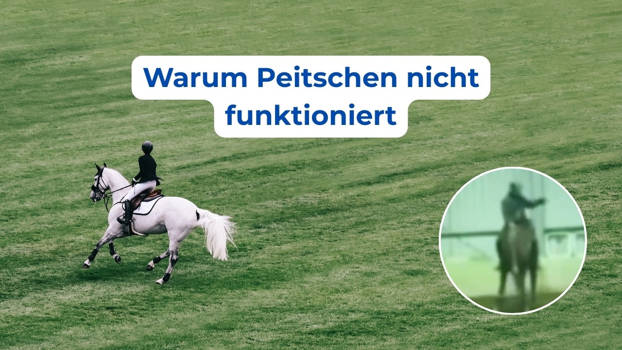 Warum Bestrafung mit der Peitsche beim Pferd nicht funktioniert | Lerntheorie erklärt