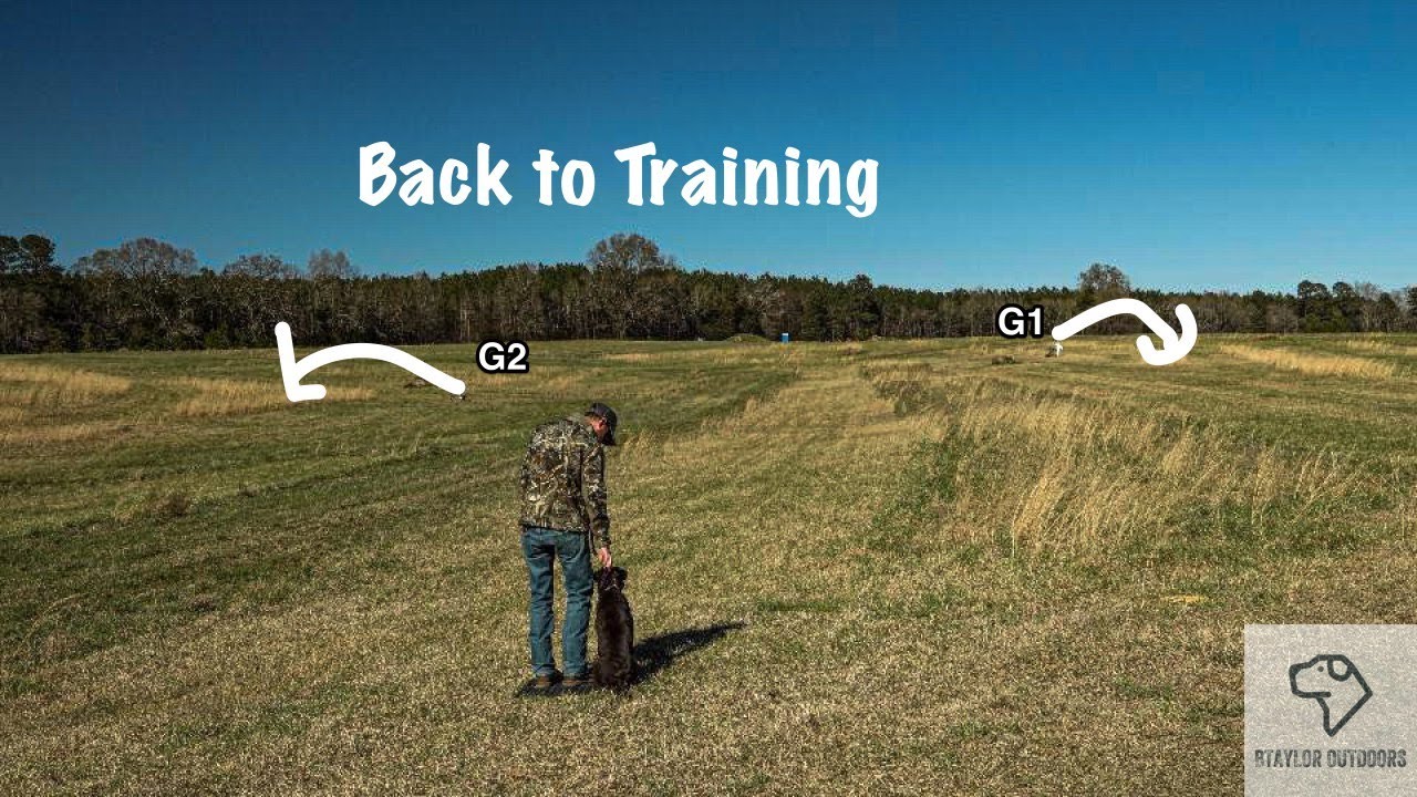 Getting back to Training (Retriever Training)