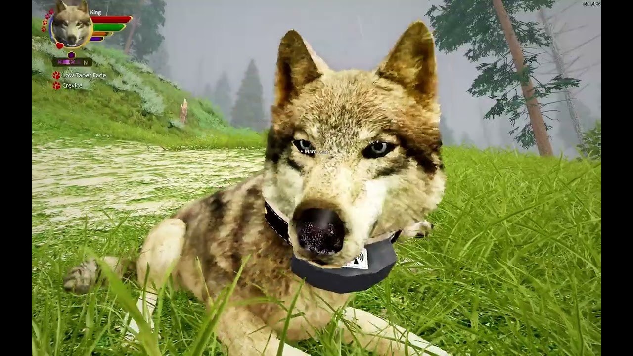 WolfQuest Anniversary Edition Longplay!